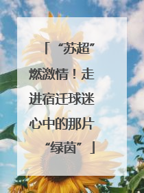 “苏超”燃激情！走进宿迁球迷心中的那片“绿茵”