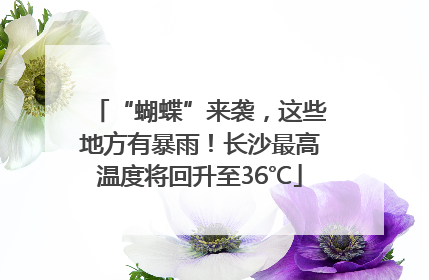 “蝴蝶”来袭，这些地方有暴雨！长沙最高温度将回升至36℃