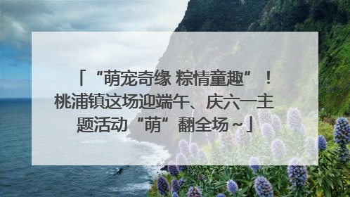 “萌宠奇缘 粽情童趣”！桃浦镇这场迎端午、庆六一主题活动“萌”翻全场～