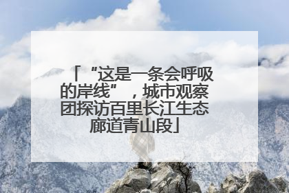 “这是一条会呼吸的岸线”，城市观察团探访百里长江生态廊道青山段
