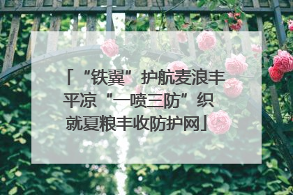 “铁翼”护航麦浪丰 平凉“一喷三防”织就夏粮丰收防护网
