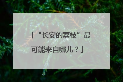 “长安的荔枝”最可能来自哪儿？