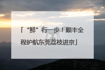 “鲜”行一步！顺丰全程护航东莞荔枝进京
