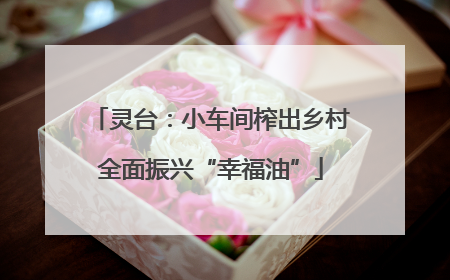 灵台：小车间榨出乡村全面振兴“幸福油”