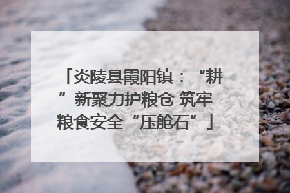 炎陵县霞阳镇：“耕”新聚力护粮仓 筑牢粮食安全“压舱石”
