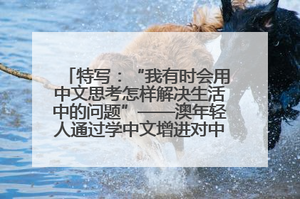 特写：“我有时会用中文思考怎样解决生活中的问题”——澳年轻人通过学中文增进对中华文化的理解