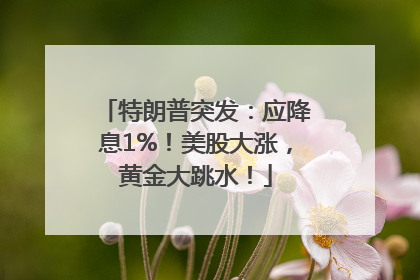 特朗普突发：应降息1%！美股大涨，黄金大跳水！