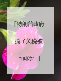 特朗普政府一揽子关税被“叫停”