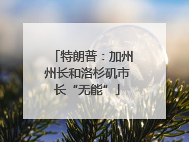 特朗普：加州州长和洛杉矶市长“无能”