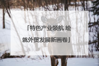 特色产业领航 绘就外贸发展新画卷