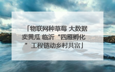 物联网种草莓 大数据卖黄瓜 临沂“四雁孵化”工程链动乡村共富