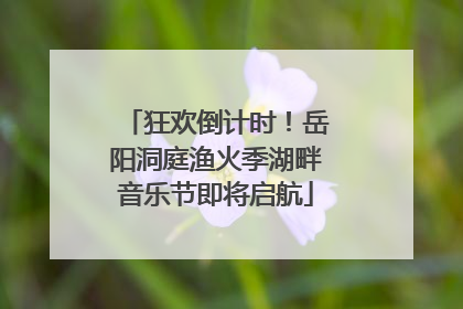 狂欢倒计时！岳阳洞庭渔火季湖畔音乐节即将启航