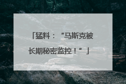 猛料:“马斯克被长期秘密监控!”