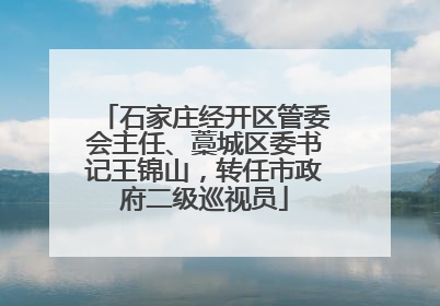 石家庄经开区管委会主任、藁城区委书记王锦山，转任市政府二级巡视员