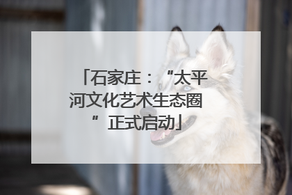 石家庄：“太平河文化艺术生态圈”正式启动