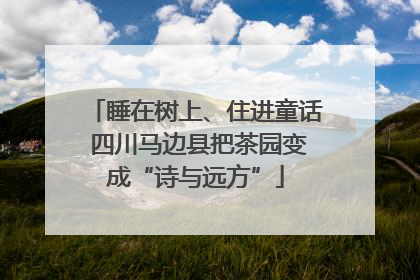 睡在树上、住进童话 四川马边县把茶园变成“诗与远方”