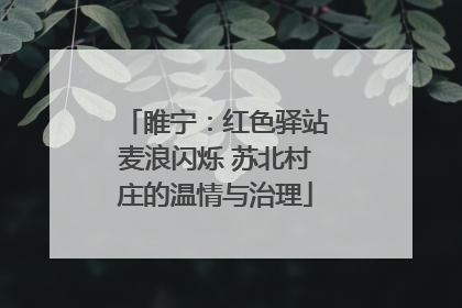睢宁：红色驿站麦浪闪烁 苏北村庄的温情与治理