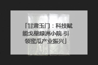 甘肃玉门：科技赋能戈壁绿洲小院 引领蜜瓜产业振兴