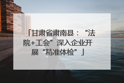 甘肃省肃南县：“法院+工会”深入企业开展“精准体检”