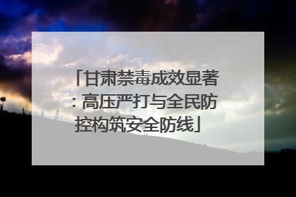 甘肃禁毒成效显著：高压严打与全民防控构筑安全防线
