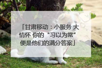 甘肃移动：小服务 大情怀 你的“习以为常”便是他们的满分答案