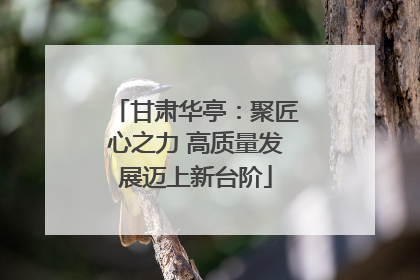 甘肃华亭：聚匠心之力 高质量发展迈上新台阶