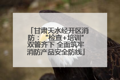 甘肃天水经开区消防：“检查+培训”双管齐下 全面筑牢消防产品安全防线