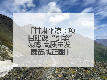 甘肃平凉：项目建设“引擎”轰鸣 高质量发展奋战正酣