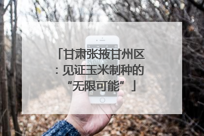 甘肃张掖甘州区：见证玉米制种的“无限可能”