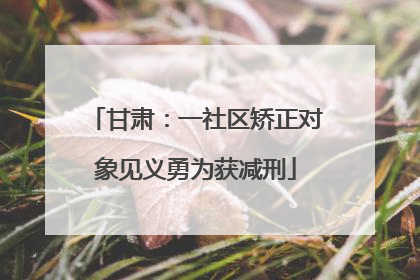 甘肃：一社区矫正对象见义勇为获减刑