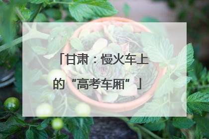 甘肃：慢火车上的“高考车厢”