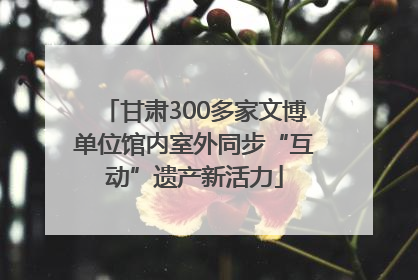 甘肃300多家文博单位馆内室外同步“互动”遗产新活力