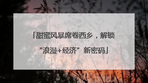 甜蜜风暴席卷西乡，解锁“浪漫+经济”新密码
