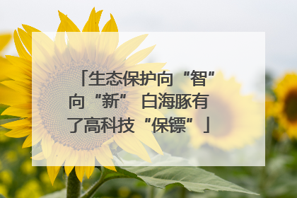 生态保护向“智”向“新” 白海豚有了高科技“保镖”