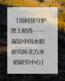 用科技守护黑土稻香——探访中国水稻研究所北方水稻研究中心