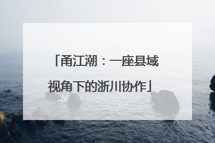 甬江潮：一座县域视角下的浙川协作