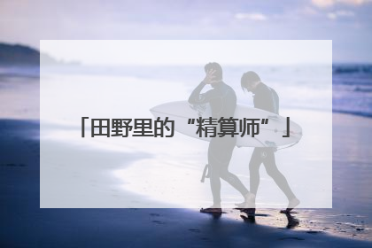 田野里的“精算师”