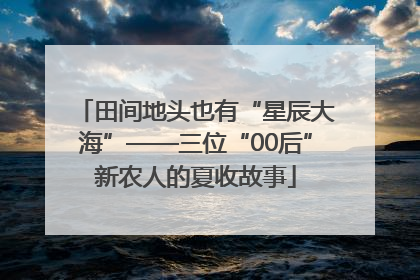 田间地头也有“星辰大海”——三位“00后”新农人的夏收故事