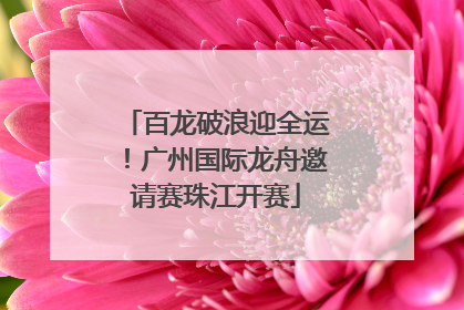 百龙破浪迎全运！广州国际龙舟邀请赛珠江开赛