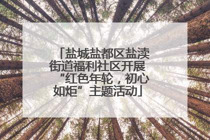 盐城盐都区盐渎街道福利社区开展“红色年轮，初心如炬”主题活动