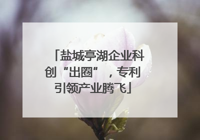 盐城亭湖企业科创“出圈”，专利引领产业腾飞