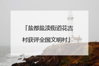 盐都盐渎街道花吉村获评全国文明村