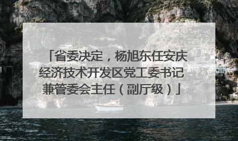 省委决定，杨旭东任安庆经济技术开发区党工委书记兼管委会主任（副厅级）
