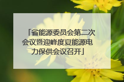 省能源委员会第二次会议暨迎峰度夏能源电力保供会议召开