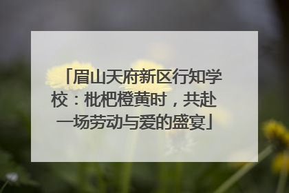 眉山天府新区行知学校：枇杷橙黄时，共赴一场劳动与爱的盛宴