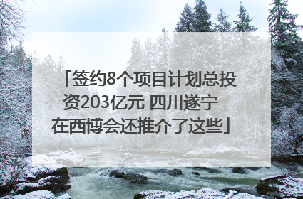 签约8个项目计划总投资203亿元 四川遂宁在西博会还推介了这些