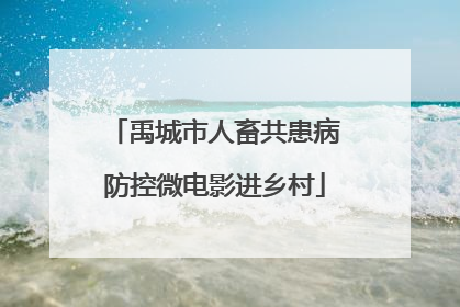 禹城市人畜共患病防控微电影进乡村