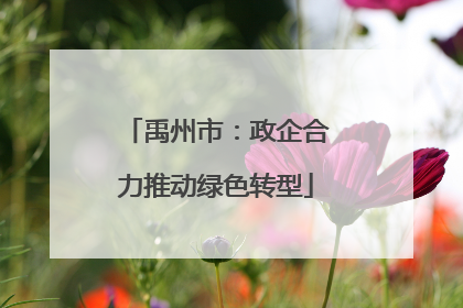 禹州市：政企合力推动绿色转型