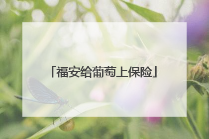 福安给葡萄上保险