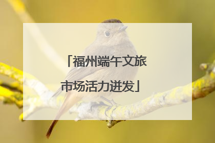 福州端午文旅市场活力迸发